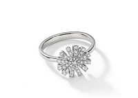 Ring Damiani Woman Margherita in White Gold Diamante 0.65 Ct 20072754 DAMIANI - 20072754 DAMIANI